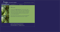Desktop Screenshot of jinga.com