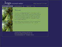 Tablet Screenshot of jinga.com